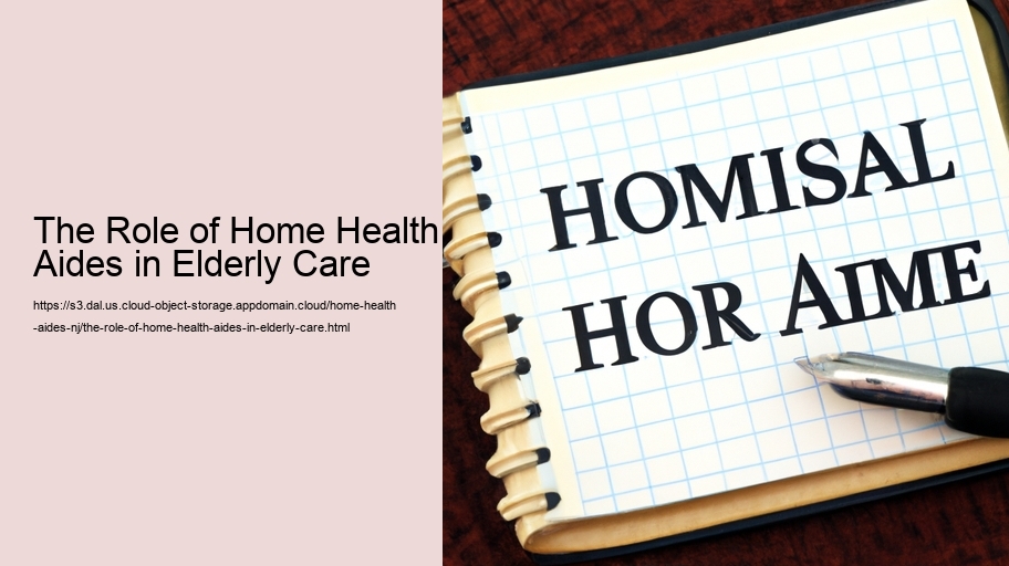 The Role of Home Health Aides in Elderly Care