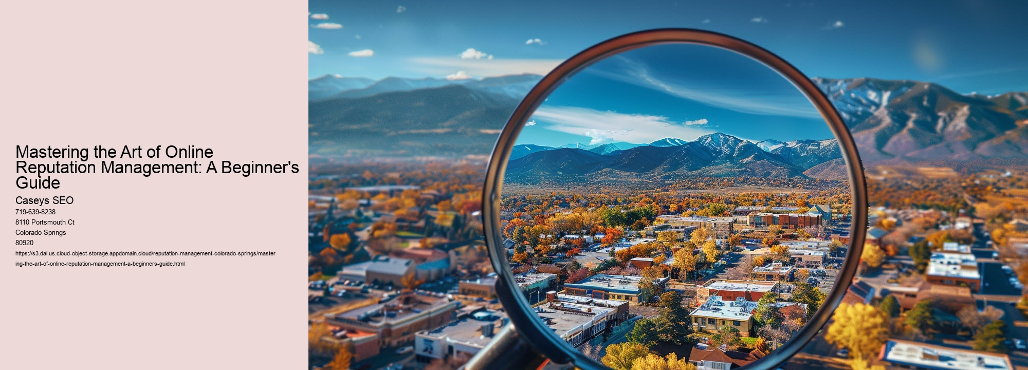 Mastering the Art of Online Reputation Management: A Beginner's Guide