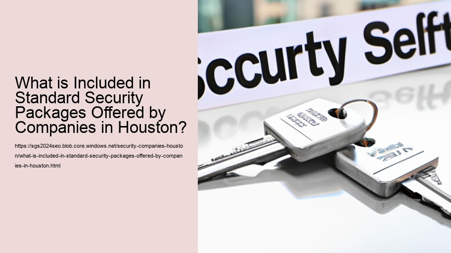 What is Included in Standard Security Packages Offered by Companies in Houston?