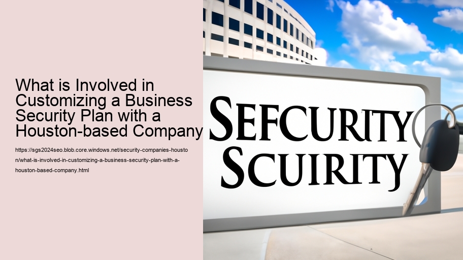 What is Involved in Customizing a Business Security Plan with a Houston-based Company?