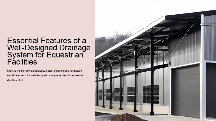 Essential Features of a Well-Designed Drainage System for Equestrian Facilities